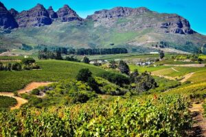 Impact of South Africa’s proposed budget on Zimbabwe – Chronicle