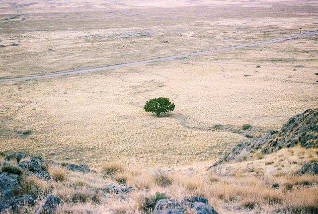 Impact of Historic Drought on Agricultural Productivity in Southern Africa