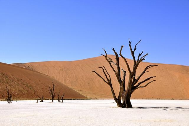 worst drought in century devastates Southern Africa, millions at risk - Al Jazeera English