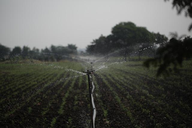 Future Prospects for Sustainable Water Management in‌ the Region