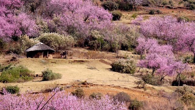 Significance of‌ the 'Metsi a Lesotho' Programme⁤ in Rural Development