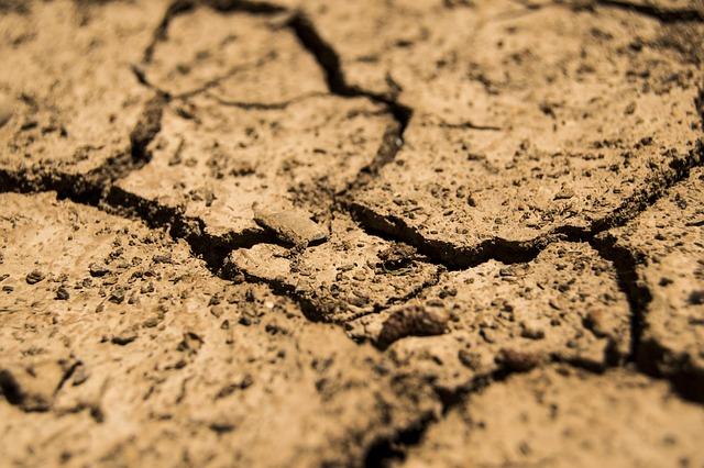 Impact of Drought on Zambia's Agricultural Sector and food Security