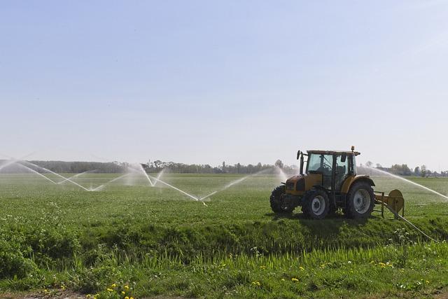 Impact on Agriculture: ‌Boosting Food Security Through Improved Irrigation