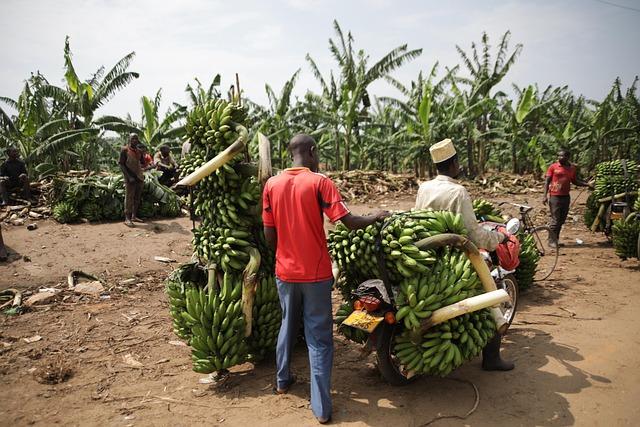 Uganda's Social Media Crackdown and Free Speech Implications