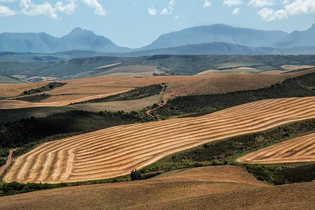 Innovative Practices Enhancing Local Food Production and Distribution