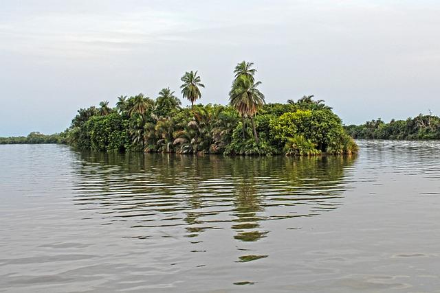 My Experience in The Gambia – University of Dayton – News Home
