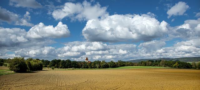 Understanding the Impact of Land Reform on local Farmers and Foreign Investors