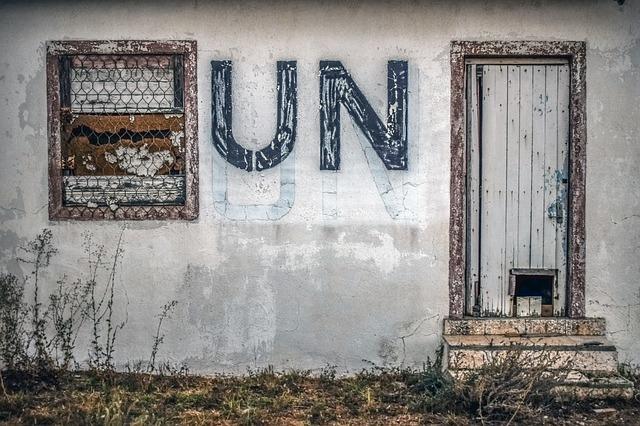 The Role of UN Volunteers in Cultivating Creative Solutions in Tunisia