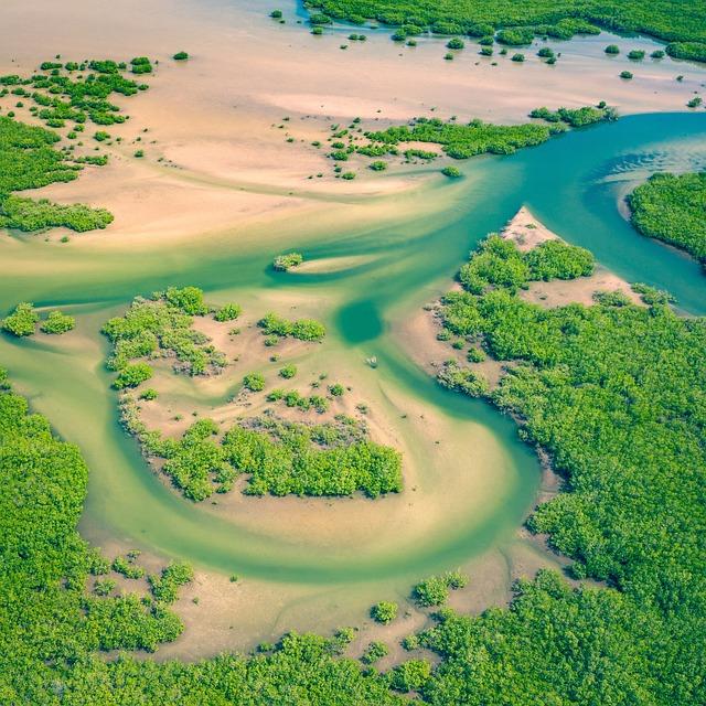 Who benefits from Senegal’s offshore oil drilling? – Dialogue Earth
