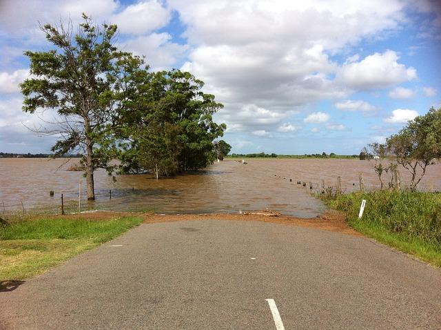 The Ecological Consequences of Increased Flooding Events