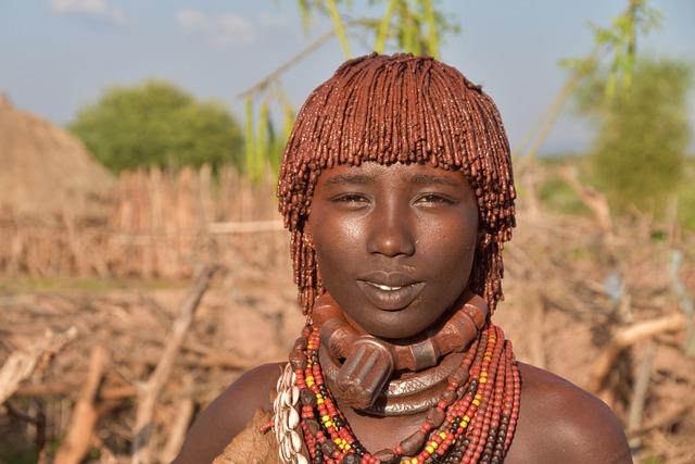 Ethiopia, ATIDI ink MoU for PPP renewable energy projects – Pumps Africa Online Journal