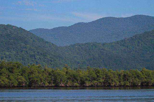 Understanding the Role of Mangroves in Guinea-Bissau's Ecosystem