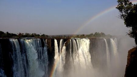 Zimbabwe election dispute analysis: The role of electoral observers – BBC.com