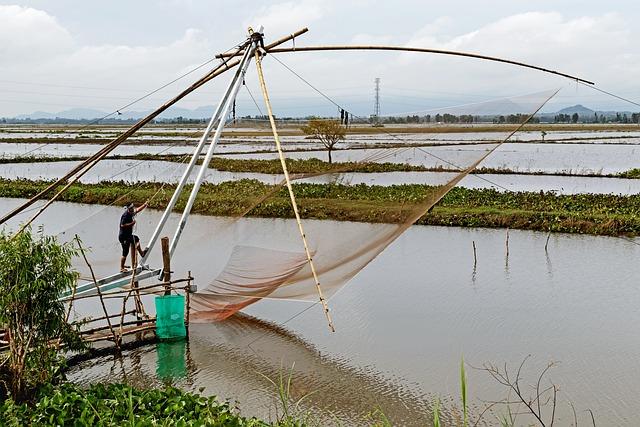 Strategies for Sustainable Fisheries Management and Conservation