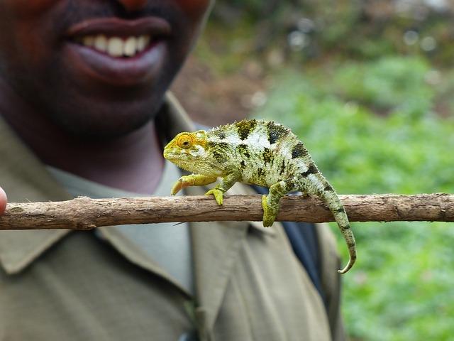 Public Health Response: Rwanda's Strategies to Control the spread