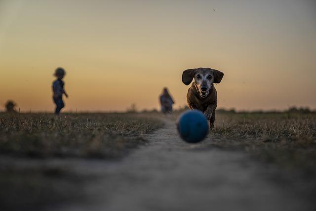 navigating Danger: The Challenges of Being Lost in Matusadona Game park