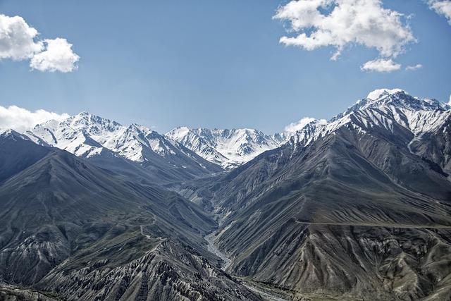 Response from the Afghanistan Cricket Board and Its Impact on the Game