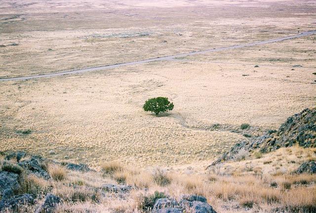 Drought is parching the world’s largest man-made lake, stripping Zambia of its electricity – The Associated Press