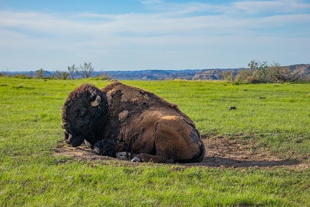 North Dakota National Guard Conducts Counter IED Engagement with Benin – United States Army