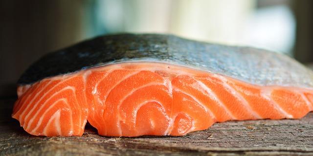 Norwegian seafood veterans launch offshore salmon farming project in Namibia – IntraFish