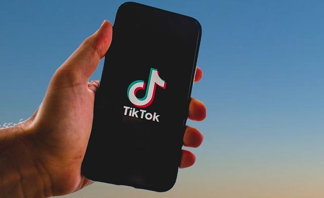 Exploring TikTok's Features Tailored for STEM Learning