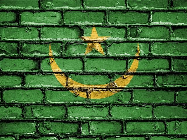 Mauritania launches electronic visa system - VisasNews