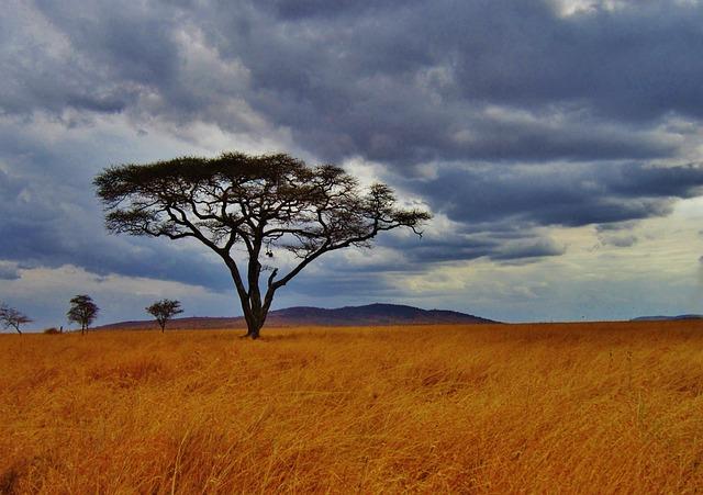 Noticeboard – Acacia Africa launches four new Botswana tours – TTG