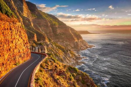 South Africa-Trump row: Controversial land law in court challenge – BBC.com