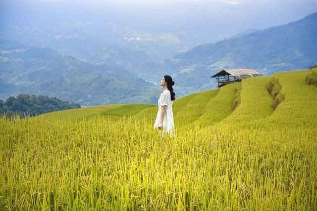 Harnessing the Potential of Women in Agriculture and Innovation