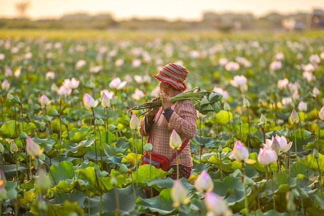 Potential Benefits for Black Farmers under the New Policy