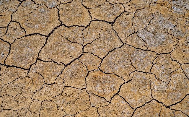 The Impact of Water Scarcity on Agricultural exports