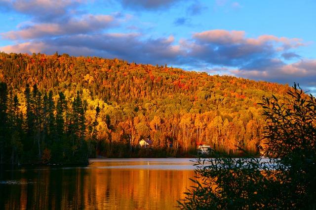 Conservation Efforts to Protect the Mountain's Biodiversity