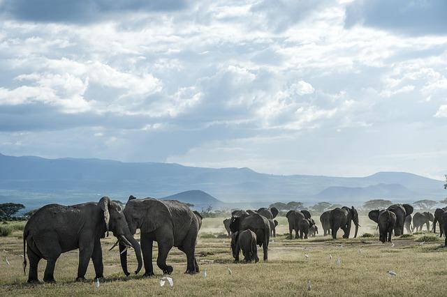 Recommendations for Future Diplomatic Engagement between Ivory Coast and France