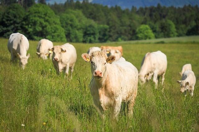 Key Objectives of the Livestock Sector Improvement agreement