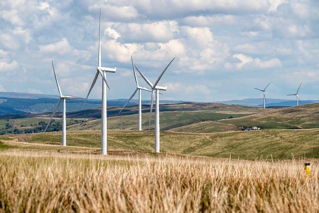 Future Prospects: Expanding Renewable Energy Initiatives Beyond the Wind Farm