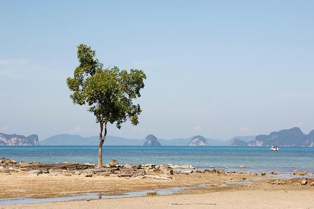 The Impact of Rising Sea Levels on Coastal Communities in Sierra Leone