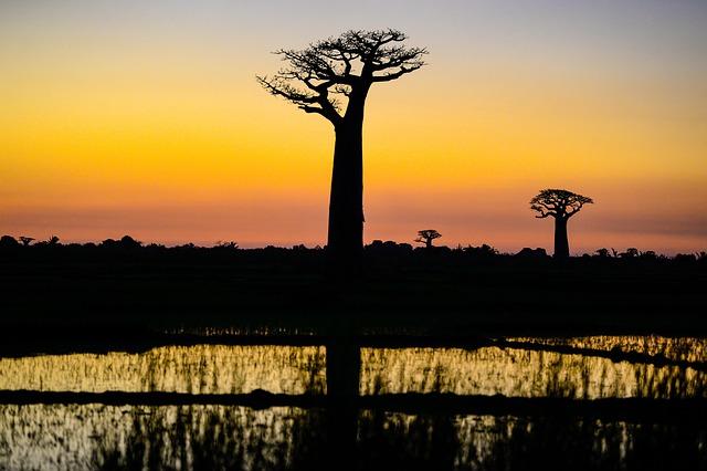 Practical travel Tips for visiting madagascar in the Dry Season