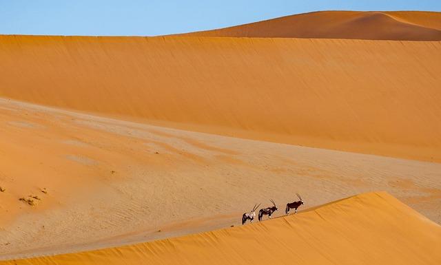 Key Policies and Vision: Shaping namibia's Future under Female Leadership