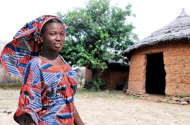 Togo's Historic Senate Vote Marks a Milestone in Democratic Process