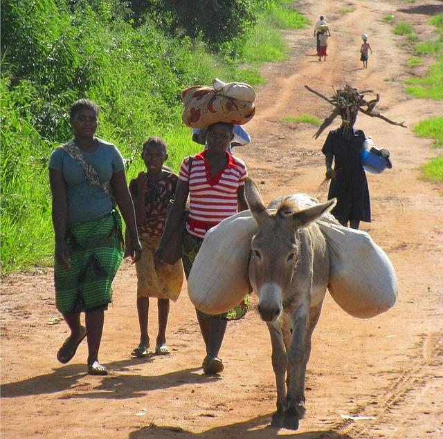 The Unseen Crisis: Understanding the Impact of Conflict on Women in Mozambique