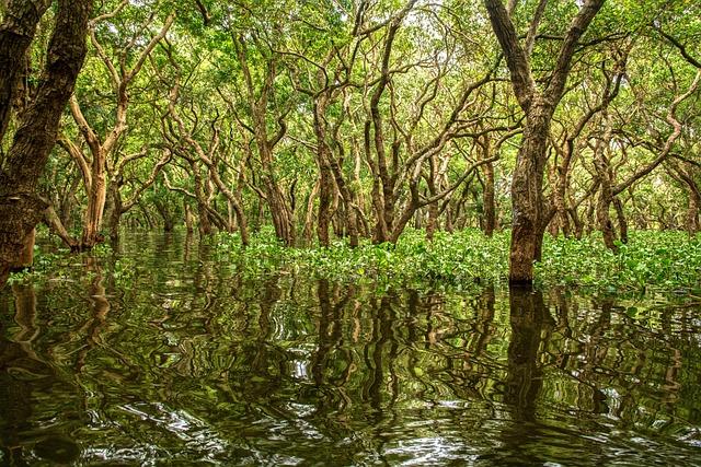 Evaluating the Economic Benefits of Healthy mangrove Ecosystems