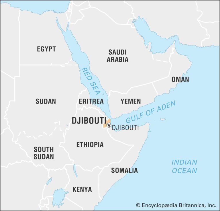 What awaits Djibouti’s Youssouf, the new African Union CEO – Nation