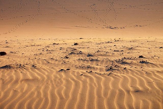 Exploring the Vast Expanse of the Mauritanian Desert