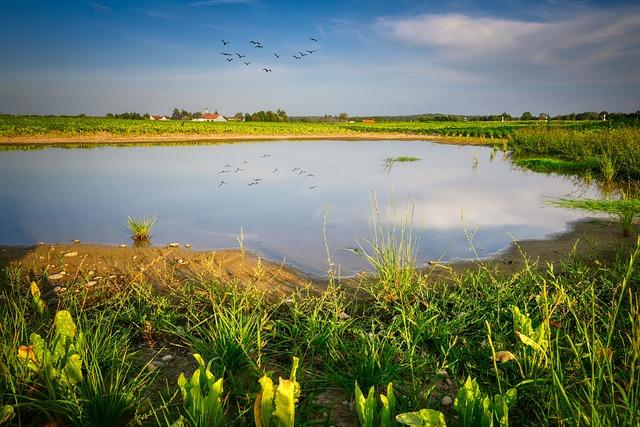 Conflict and Climate Interactions ⁢Impacting the lake chad Basin Crisis