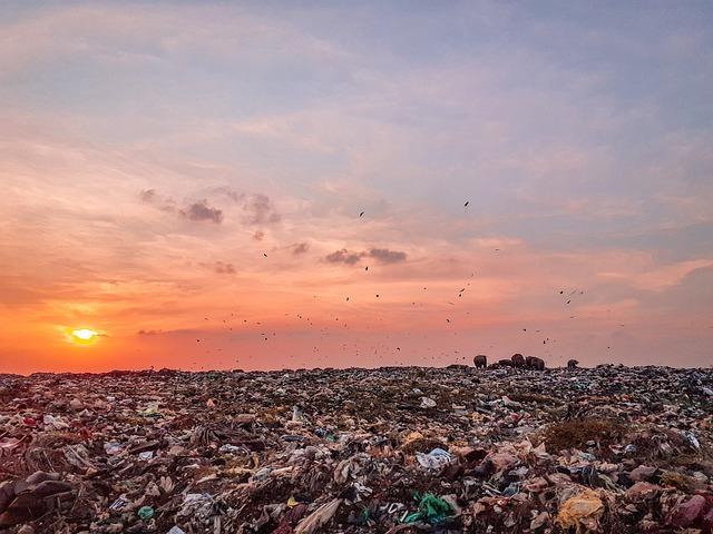 Ozone pollution contributes to the yield gap for beans in Uganda, East africa, and is co-located with other agricultural stresses - Nature.com