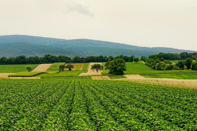 the Role of Agriculture in Sustainable Development and food Security