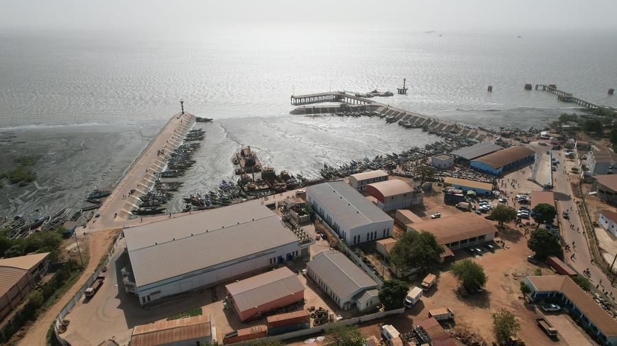 Future Prospects for Guinea-Bissau’s Seafood Industry Post-Facility⁢ Launch