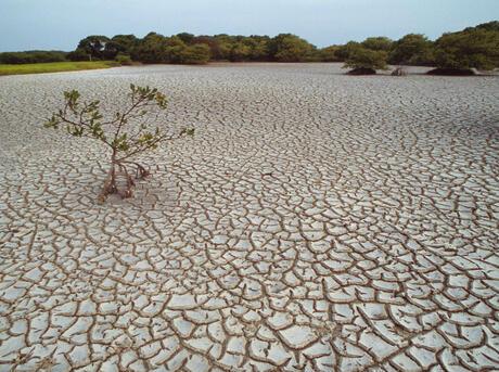 Water ⁤Scarcity: The Crippling Effect on Communities and Ecosystems