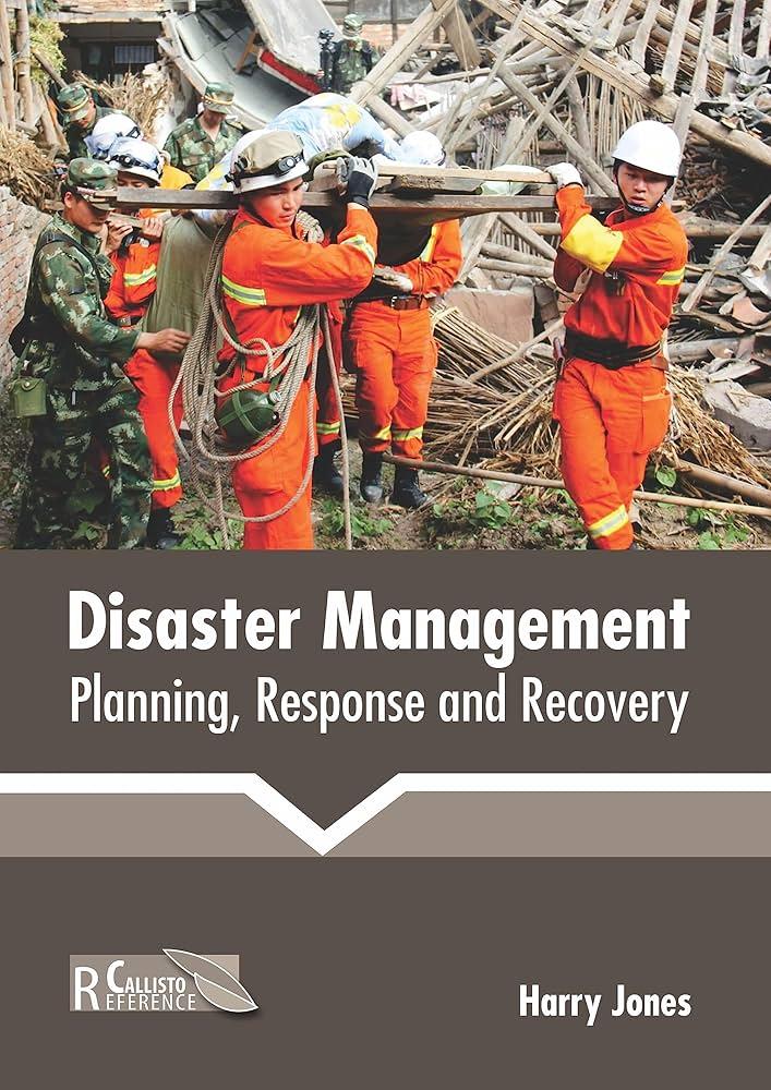 Long-Term Strategies for Disaster Management and Recovery in Africa