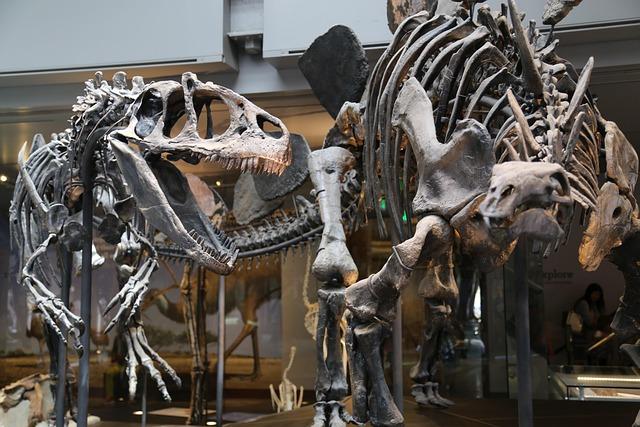 Fostering​ Future Research⁣ and Exploration​ in ​Paleontology